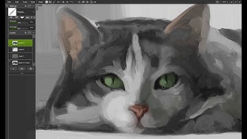 TimeLapse Cat using ArtRage