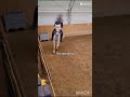 Do You Ride Horses Horse Fall Equestrian Equestrianjourney Cute Do You Ride Horses Horse Fall Equestrian Equestrianjourney Cute