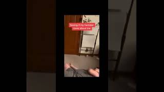 Just finishing the job - 9gag