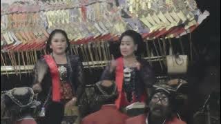 Giro Balen Wayang Kulit Jawa Timuran Ki Dalang Haryo Adi Priambodo 