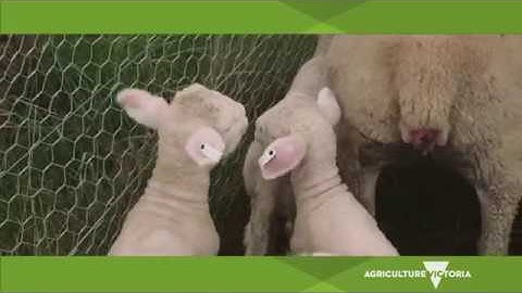 Electronic identification - One year on