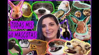 Todas mis +40 MASCOTAS  (Zorro,Conejos,Mofeta,Aves,Roedores..)    ALL MY +40 PETS 2019