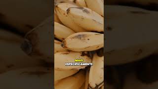 Bananas contaminadas pela lama do desastre de Mariana/MG #meioambiente #mariana #mineração