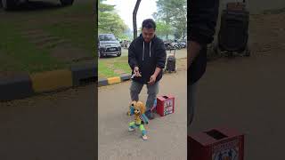 Boneka Supa tipa tipung