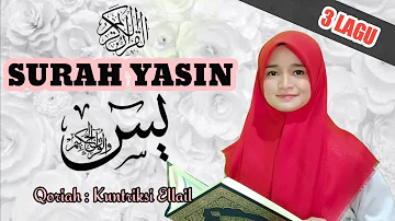 SURAT YASIN - TEKS ARAB + TERJEMAH - 3 LAGU - Kuntriksi Ellail