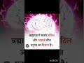 facts short video#shortsfeed #factshorts#shorts#facts#factfeed #amazingfacts#brainfacts#brainhealth
