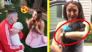 Puppy Surprise Compilation | Dog Surprise Compilation | Try Not to Cry #6 by Miyu Animals 🐶 34,337 views 2 years ago 5 minutes, 1 second
