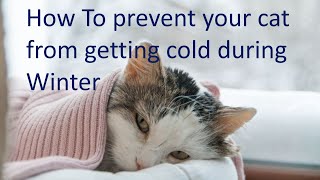 How To Keep Your Cat Warm During Winter by We Love Cats 254 views 2 years ago 1 minute, 3 seconds