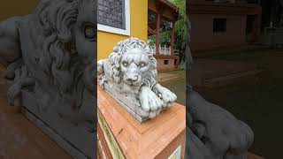 Wong Ah Fook's lion by Raoul Bigazzi (alert pose)