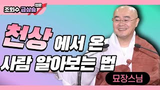 천상에서 인간계로 온 사람을 알 수 있다_묘장스님 [무상사 일요초청법회]