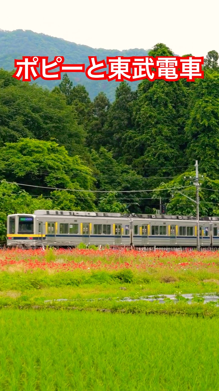 4Kshorts 東武20400系下り普通電車 鬼怒川温泉・大原のポピー畑