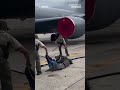 Officials work to move alligator off Tampa Air Force Base