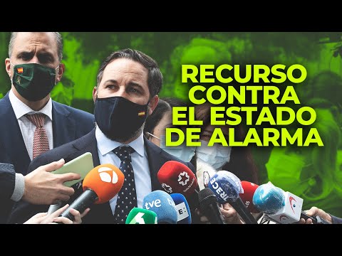 Declaraciones ante el TC: Abascal lleva los seis meses de estado de alarma al Constitucional