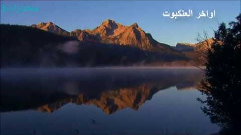 تلاوة تريحك من هموم الدنيا بتدبرك لايتها