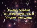 10. Почему бывают "иньские" мужчины и "янские" женщины?