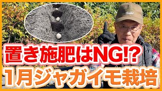 【日曜日特別値下げ送料込】キエーロコンポスト♫たい肥でじゃがいも作れます♪ mqdefault.jpg