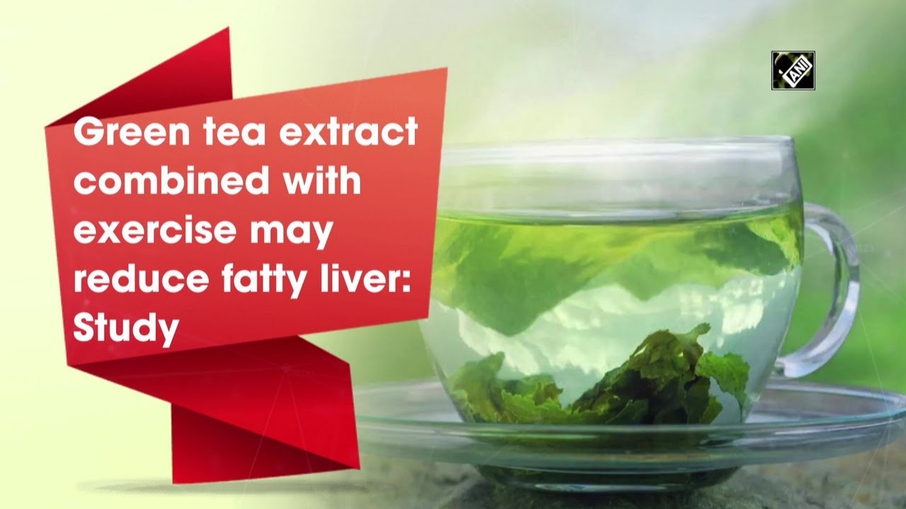 Green tea extract combined with exercise may reduce fatty liver Study
