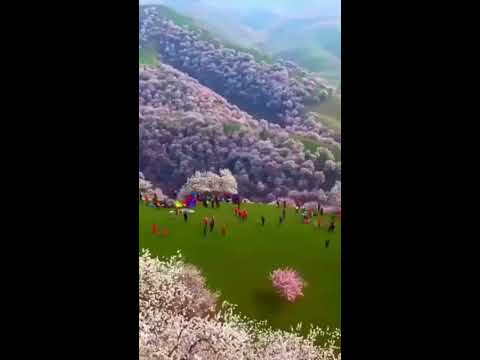 سبحان الخالق على هدا جمال