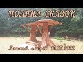 Обновлённая детская площадка "Поляна сказок"   13.07.2022  #лесопарк #детскаяплощадка