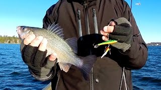 Winter Perch Fishing or "Damn it's Cold!", Lake Norman, NC   Jan 10, 2015