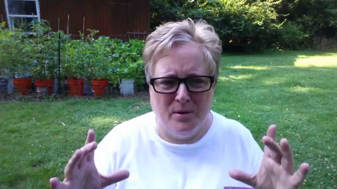 How To Grow Organic Vegetables At Home Tastes WAY Better Than From 