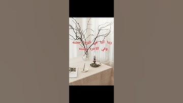 ما تيسر من سورة القصص 🌹❤️🇸🇾 #اكسبلور فرحتي_بكم_أهل_الشام🌹