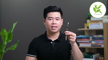 Bấm Vào Chỗ Này Là THẬN KHOẺ - KHÔNG CÒN TIỂU ĐÊM | Ngủ Ngon Đến Sáng | TCL