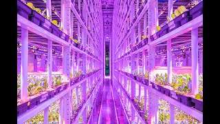Vertical Farming - Revolutionizing Urban Agriculture (1 Minute)