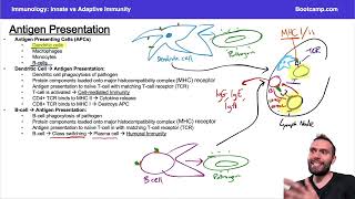 Adaptive Immunity for Step 1 | Immunology | Med School Bootcamp