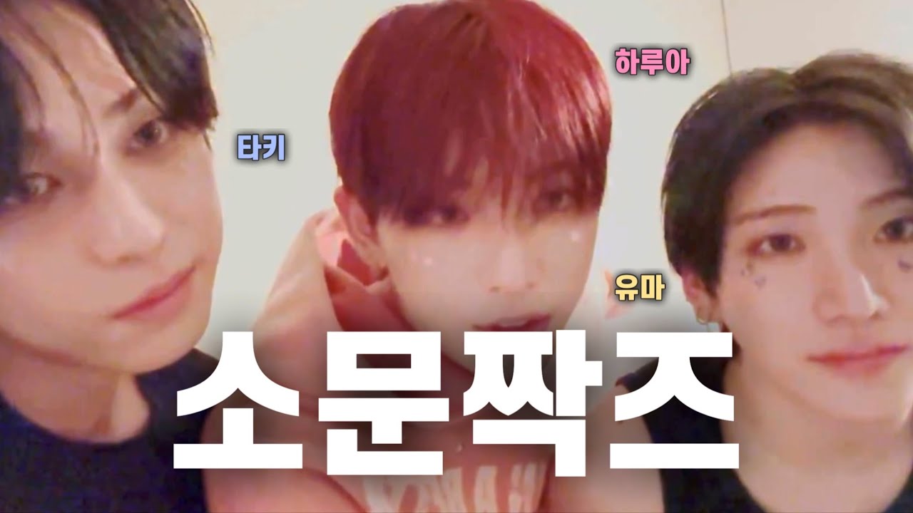 [&TEAM/앤팀] 250621 유마 하루아 타키 위버스 라이브 「🐱」 요약