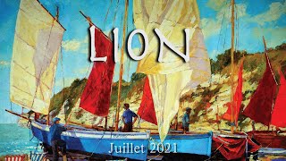 LION Juillet 2021 ~ Mue émotionnelle !!