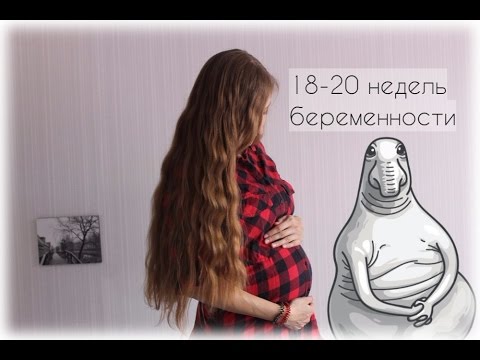 Дневник беременности: 18-20 неделя/Первые шевеления