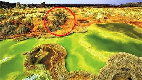 Curious Facts About Earth You Didn