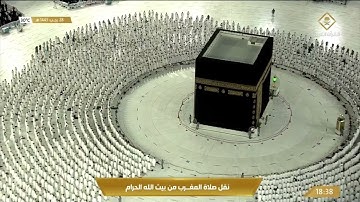 صلاة المغرب ‏الثلاثاء 28-7-1443هـ الشيخ ماهر المعيقلي - من سورة غافر [56-65]