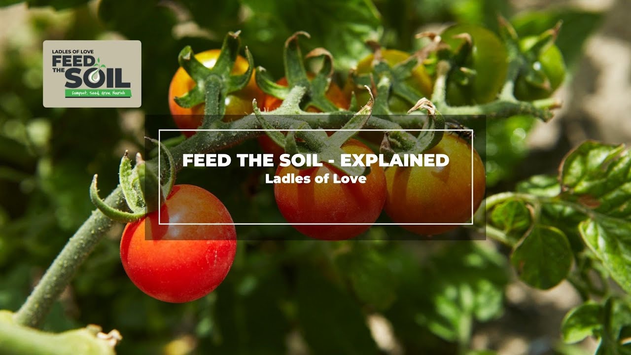 FEED THE SOIL Ladles Of Love Zero To Landfill YouTube
