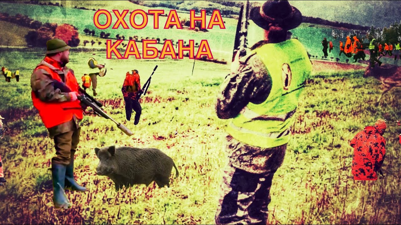 охотник зимой. собака охотничья. охота воли. охота воли. охота на уток живопись.