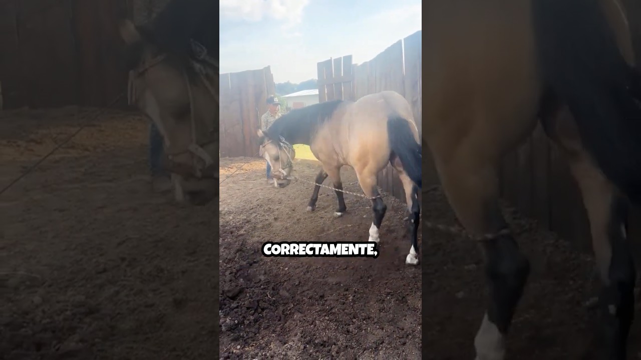 Un Método que Genera Controversia