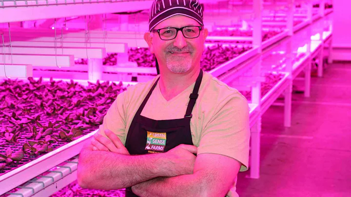 Robert Colangelo on Indoor Vertical Farming