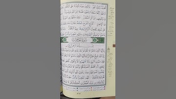 سوره الحجرات #القران_الكريم #اكسبلور #الهم_صل_على_محمد_وأل_محمد