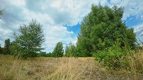 Training Power Loop + Inverted Yaw Spin | FPV Freestyle | NO STAB | ONE PACK