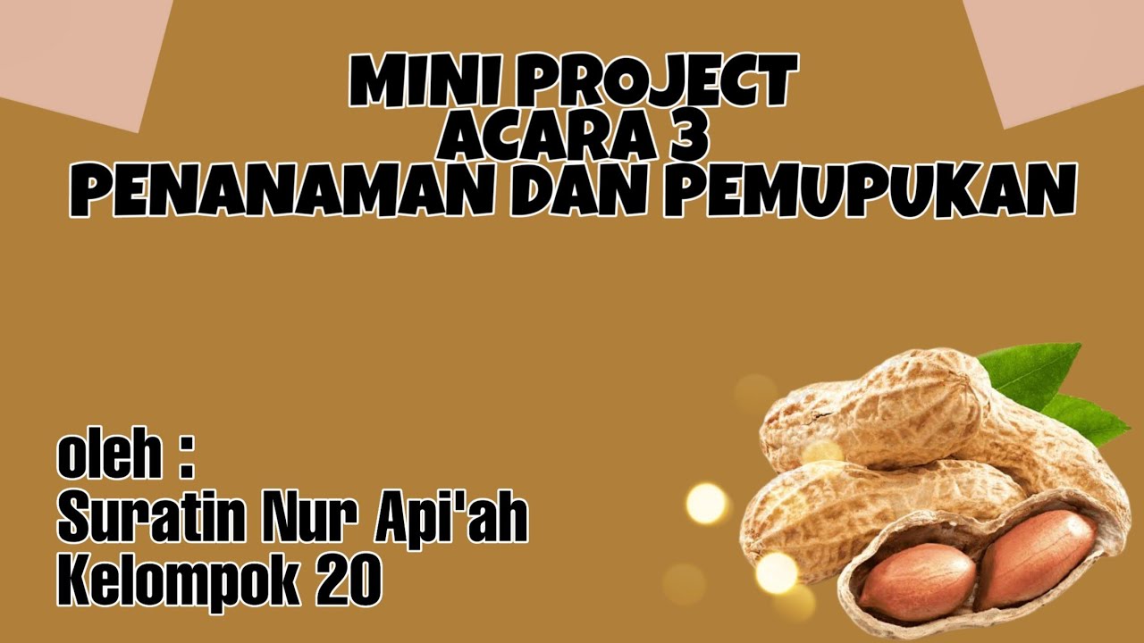 Suratin Nur Api'ah_20_MP3 