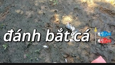 Sinh tồn bắt cá nướng ăn tại chỗ cuộc sống mưu sinh thiên nhiên ban tặng nông thôn quê hương