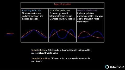 AP Biology Unit 7 Natural Selection Complete REVIEW!