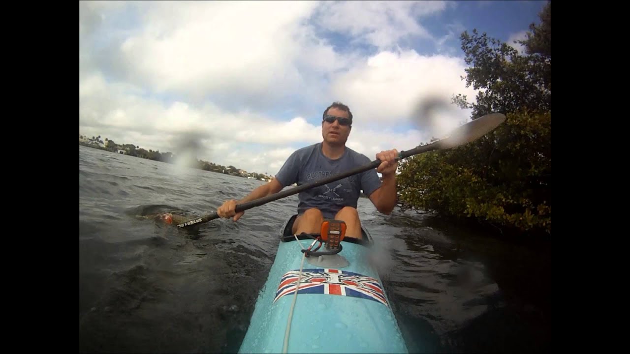 Kayaker Attacked By Alligator - YouTube