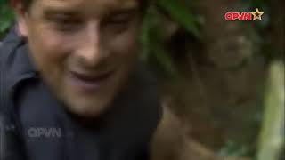 Kĩ Năng Sinh Tồn Cùng Bear Grylls   Chống Chọi Với Thiên Nhiên Hoang Dã Trung Quốc