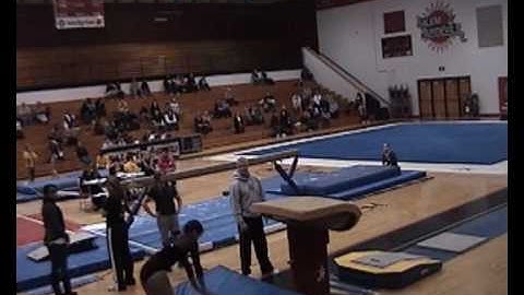 Gymnastics motion analysis video