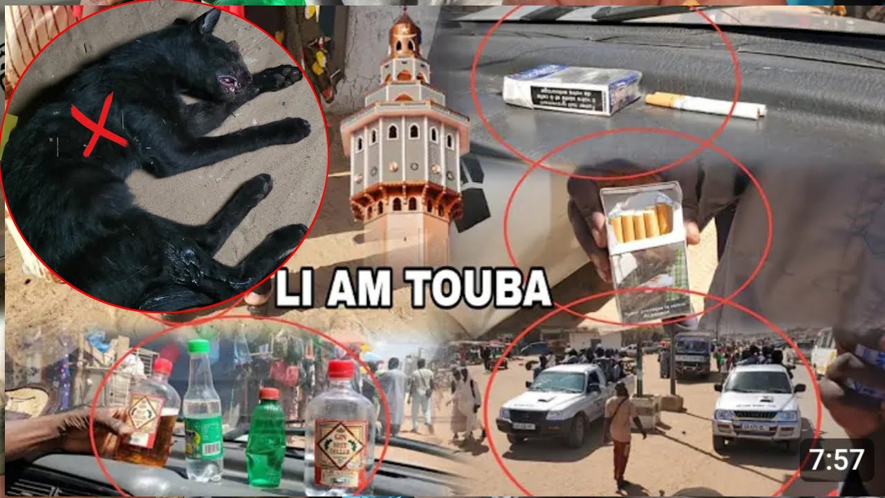 Urgent Opération Baye fall yi And Samou warmay touba Thiey touba doy nawar le 2 novembre