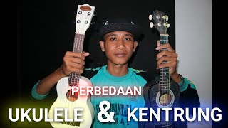 Perbedaan UKULELE & KENTRUNG | Pemula Wajib Tonton Video Ini!