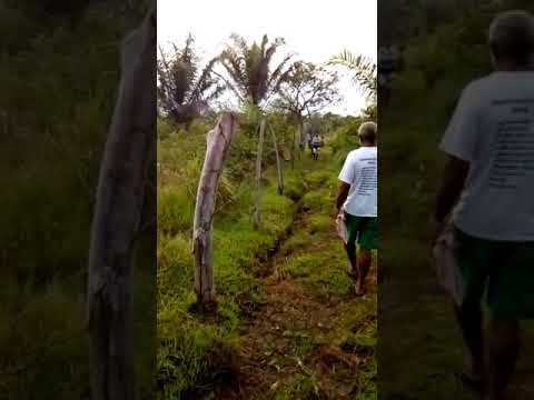 Maquina de Luís Domingues pegando preto de ponto