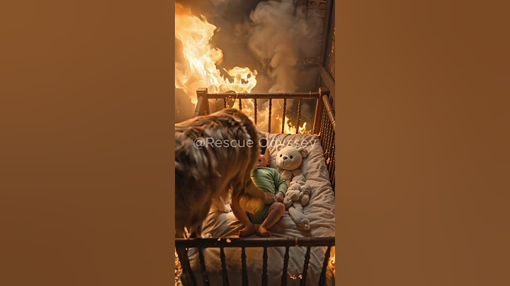 brave dog's quick response saved the baby #shorts #shortsfeed #ytshorts #dog